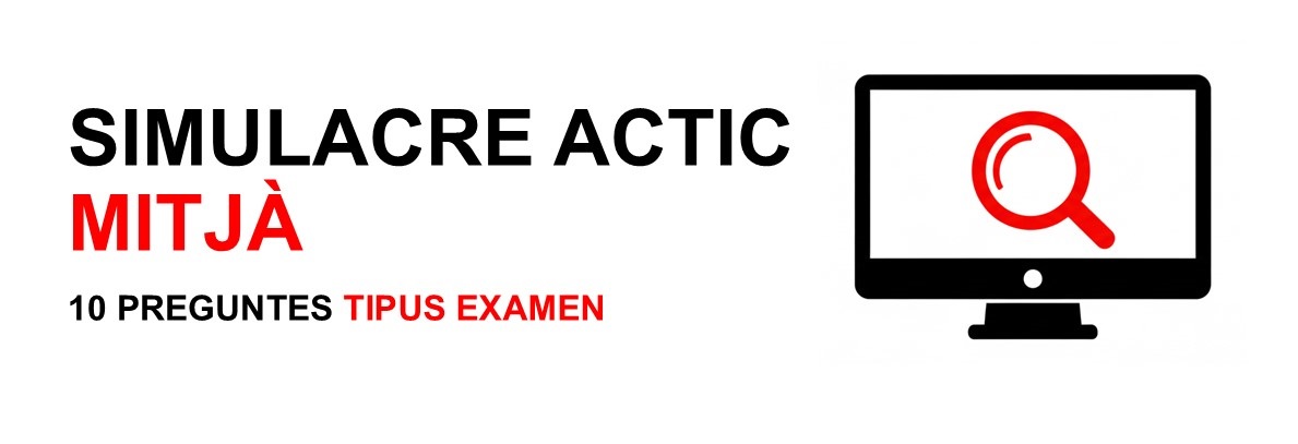 Simulacre ACTIC Mitjà